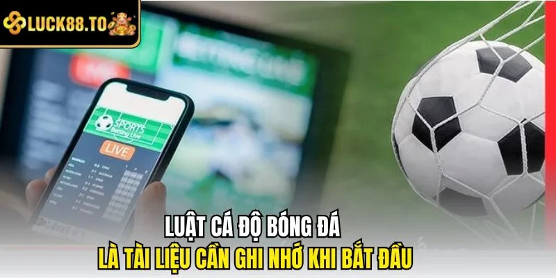 Luật cá độ bóng đá là tài liệu cần ghi nhớ khi bắt đầu